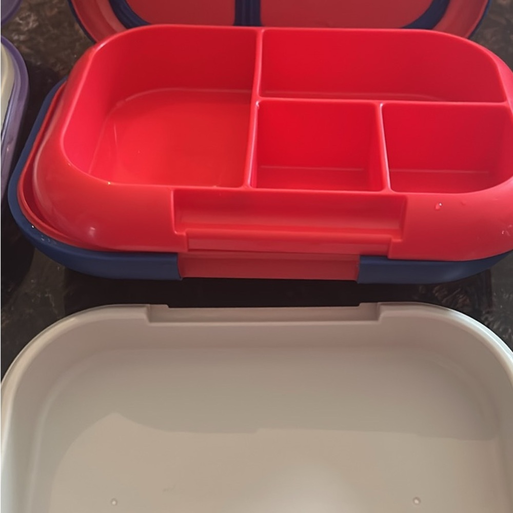 Red and Blue Bento Lunch Box